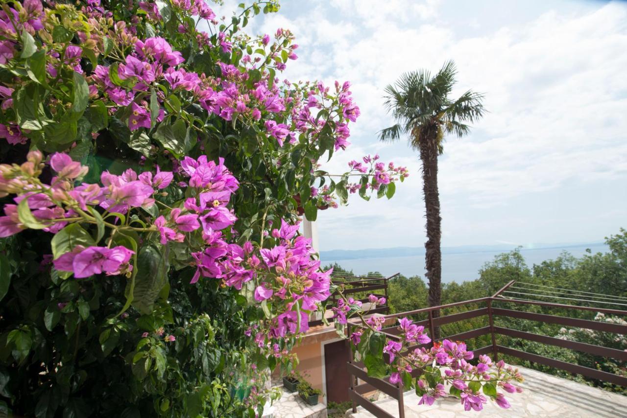Apartment Alba Medveja Εξωτερικό φωτογραφία
