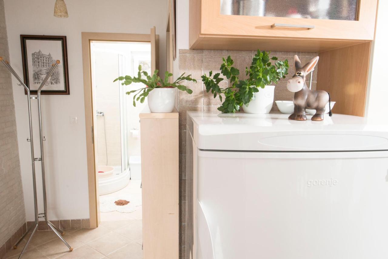 Apartment Alba Medveja Εξωτερικό φωτογραφία