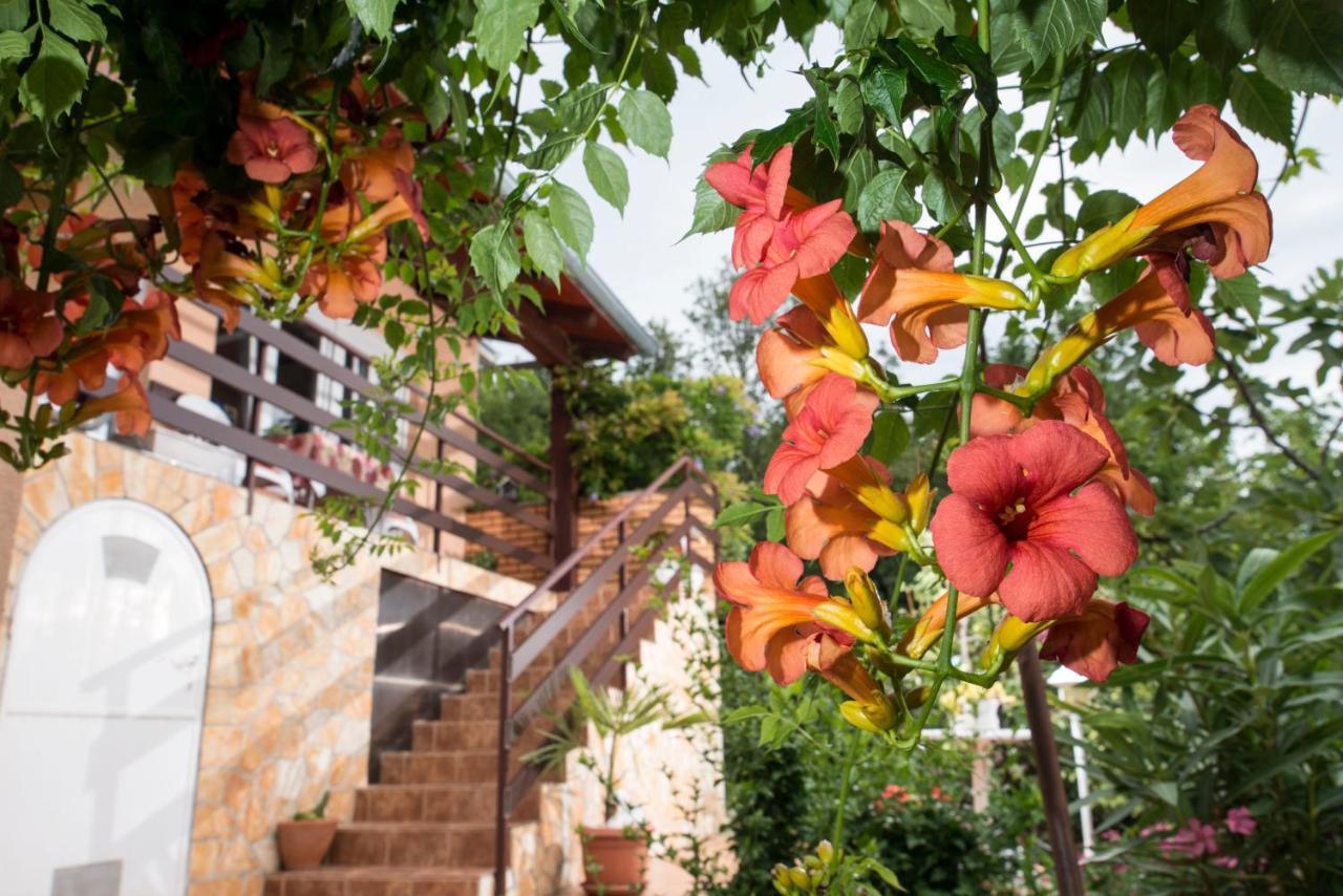 Apartment Alba Medveja Εξωτερικό φωτογραφία