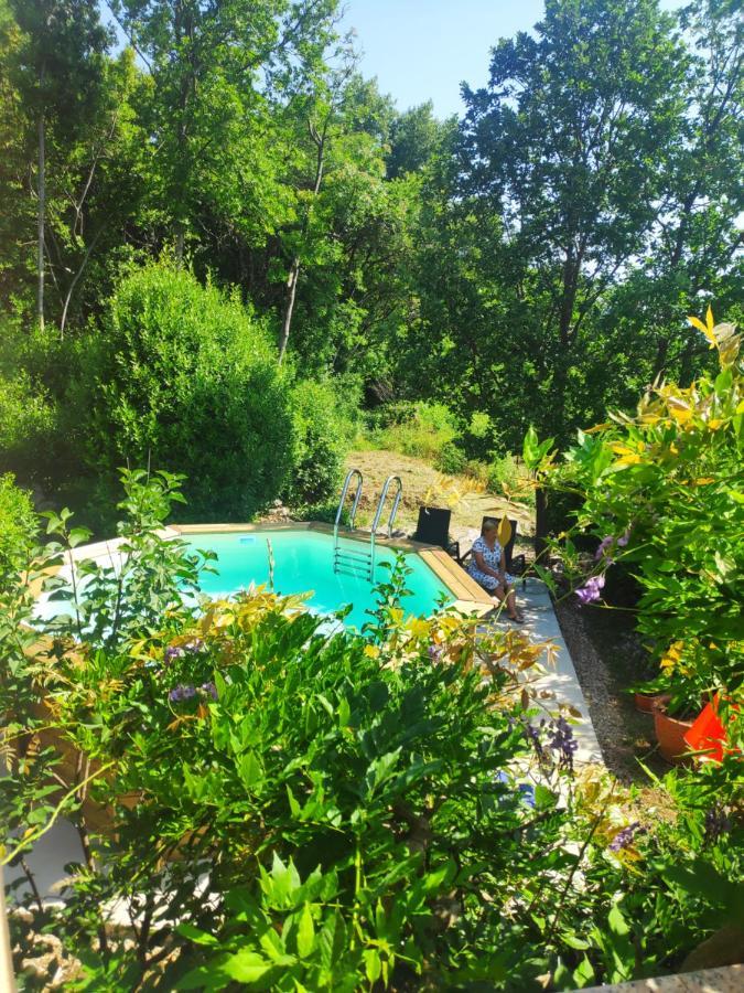 Apartment Alba Medveja Εξωτερικό φωτογραφία